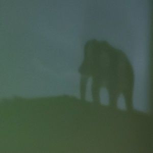 Meet your Posher, Jayson